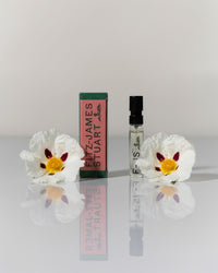 LA HORA NOCTURNA sample